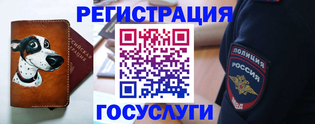 временная регистрация в квартире в Брянской области